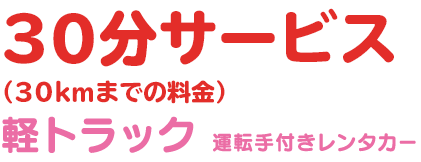 30分サービス（30Kmまでの料金）軽トラック運転手付きレンタカー